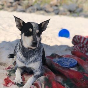 Meet your Posher, Maddie